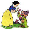 Je l'ai cueillie pour toi Blanche Neige ... 