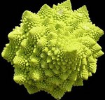 Une fractale comestible...
Cependant le degré d'auto-ressemblance ne dépasse pas 4 Une fractale comestible...
Cependant le degré d'auto-ressemblance ne dépasse pas 4